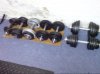 Homegym2.JPG