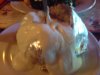 Dsc00524.jpg