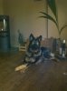 IMG_20121022_173147.jpg
