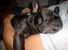 DSC01808.jpg