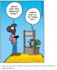 stroh.jpg