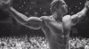 arnold_abs_2.jpg