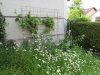 04.06.14 006.jpg