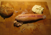 fisch2.PNG