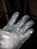 Handschuh.jpg