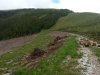20160610_103009.jpg