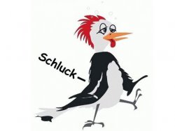 schluckspecht.JPG