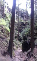 IMG_Tschechien 1.jpg