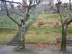 Winterweinberg (1).JPG