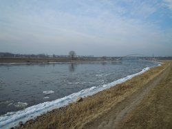 Elbe.JPG