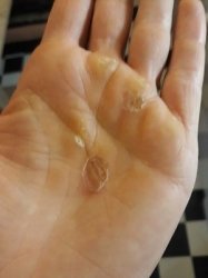 20190823_204728.jpg