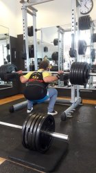 225 kg in Zeitlupe abgesenkt am 25.08.2019.jpg