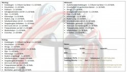Woche 5-8.jpg