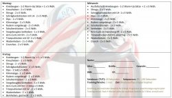Woche 9-12.jpg