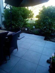 IMG_20200731_182018.jpg
