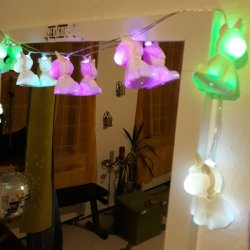 20201109_192834_resize_7.jpg