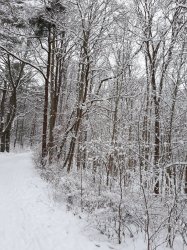 20210116_105908_resize_93.jpg