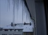 fenster 001 (1).jpg