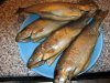 räucher fisch 006.jpg