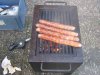 grillen 02.04.10 008.jpg