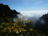Madeira9.JPG