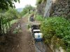 Madeira14.jpg