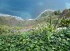 Madeira20.jpg Madeira20.jpg