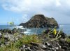Madeira17.jpg Madeira17.jpg