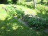IMG_0049.jpg