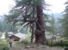 Ultental2.jpg Ultental2.jpg
