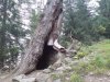 Ultental4.jpg