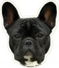 FrenchBulldogBlack.jpg