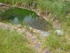 DSC00138.jpg