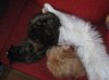 IMG_0003.jpg IMG_0003.jpg