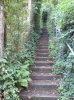 DSC00173.jpg