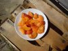 DSC00178.jpg