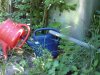 DSC00185.jpg