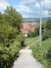 DSC00204.jpg