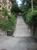 DSC00211.jpg