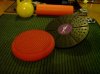 DSC00249.jpg