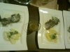 2012-02-18 21.01.10 - Kopie.jpg