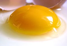 220px-Raw_egg.jpg