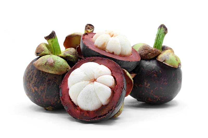 wk-01-mangostan.jpg