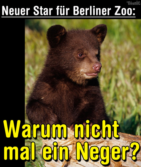 Knuts-Nachfolger_01.jpg